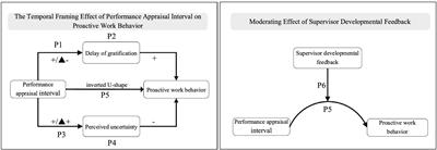 The relationship between performance appraisal interval and employees’ proactive working behavior – analysis based on time-gain effect and time-loss effect